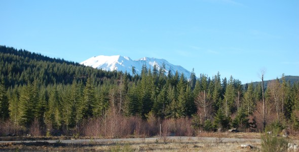 DSC_0069