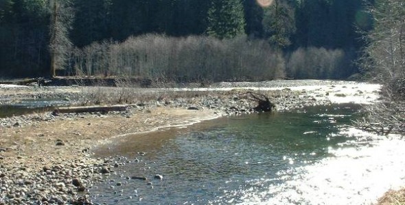 Muddy River