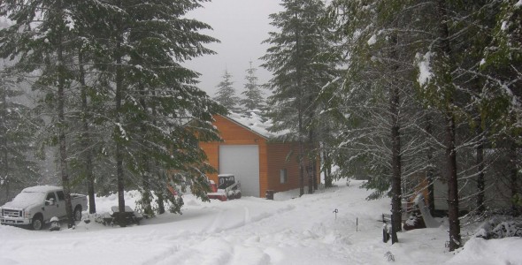 Winter House